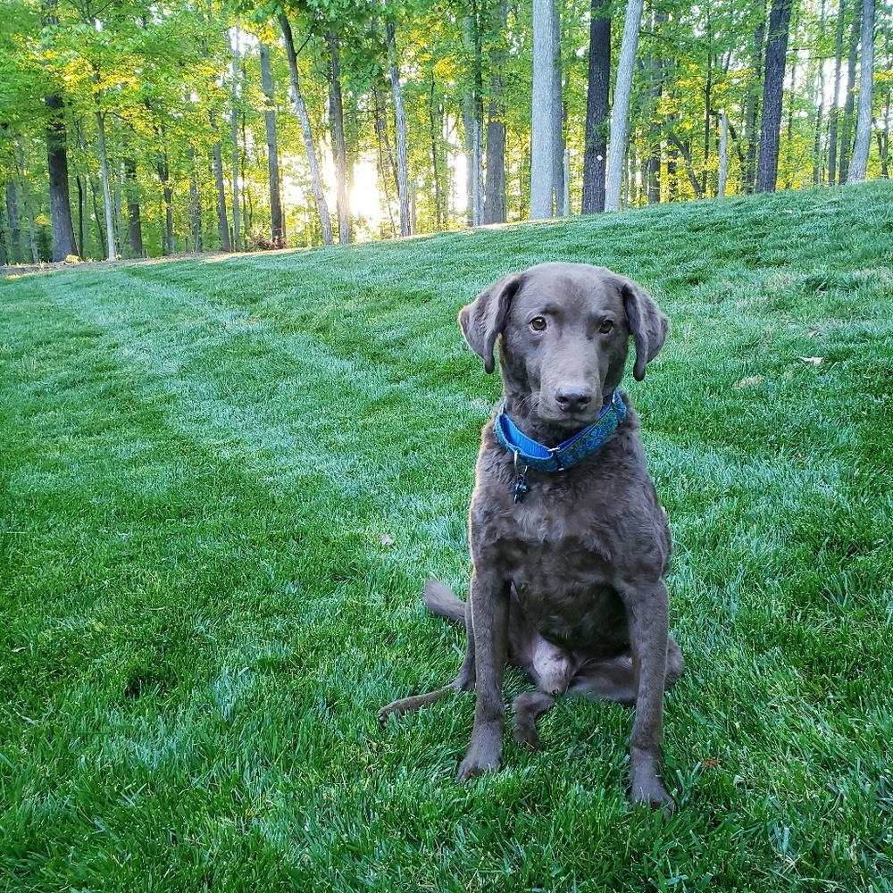 Meet your Posher, Erika